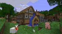 Minecraft Doesnt Pass Sony Certification