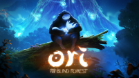 Ori and The Blind Forest Delayed For 2015