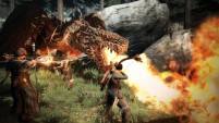 Capcom Reveals Dragons Dogma Online