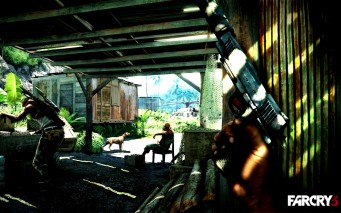Far Cry 3  wallpaper 