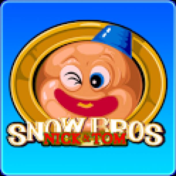 Snow Bros dvd cover