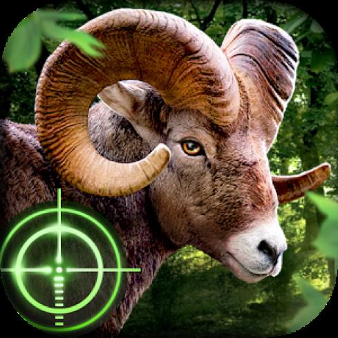 Wild Hunter 3D Cover 