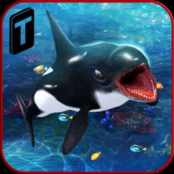 Killer Whale Beach Attack 3D dvd cover