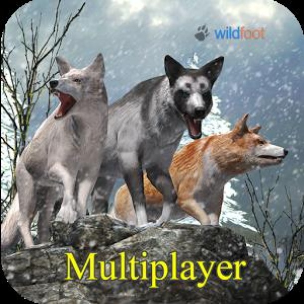Wolf World Multiplayer Cover 