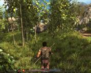 Risen  gameplay screenshot
