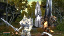 The Elder Scrolls IV: Shivering Isles  gameplay screenshot