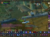 World of Warcraft  gameplay screenshot