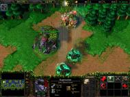 Warcraft III: Reign of Chaos  gameplay screenshot