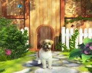 Petz Sports: Dog Playground  gameplay screenshot