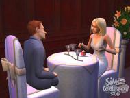 The Sims 2: Celebration Stuff  gameplay screenshot