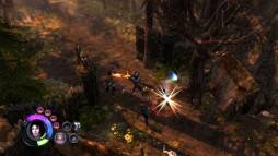 Dungeon Siege III  gameplay screenshot