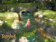 Tangled: The Video Game  gameplay screenshot