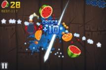 Fruit Ninja  gameplay screenshot