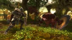 Kingdoms of Amalur: Reckoning  gameplay screenshot