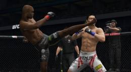 UFC Undisputed 3  gameplay screenshot