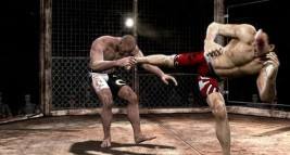 Supremacy MMA: Unrestricted  gameplay screenshot