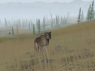 Hunter's Trophy  gameplay screenshot