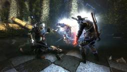 The Witcher 2: Assassins of Kings - Enhanced Edition  gameplay screenshot