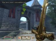 The Elder Scrolls IV: Oblivion  gameplay screenshot