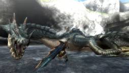 Monster Hunter Tri  gameplay screenshot