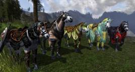Lord of the Rings Online: Riders of Rohan  gameplay screenshot