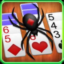 Spider Solitaire dvd cover