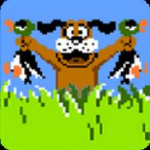 Duck Hunt dvd cover