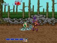 Sega Genesis Classic Collection: Gold Edition  gameplay screenshot