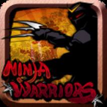 Ninja Warriors dvd cover 