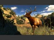 Cabela's Hunting Expeditions  gameplay screenshot