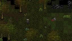 9th Dawn RPG  gameplay screenshot