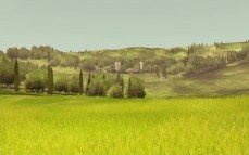 Agricultural Simulator 2013  gameplay screenshot