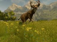 Cabela's Big Game Hunter 09  gameplay screenshot