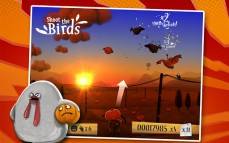 Shoot The Birds  gameplay screenshot