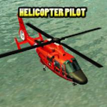 Helicopter Pilot Cover 
