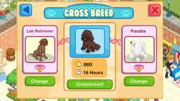 Pet Shop Story™  gameplay screenshot