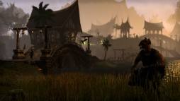 The Elder Scrolls Online  gameplay screenshot