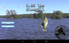 i Fishing 3 Lite  gameplay screenshot