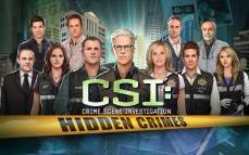 CSI: Hidden Crimes  gameplay screenshot