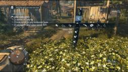 Assassin's Creed: Rogue  gameplay screenshot