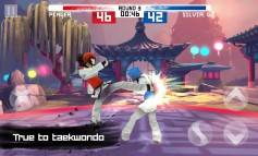 Taekwondo Game  gameplay screenshot