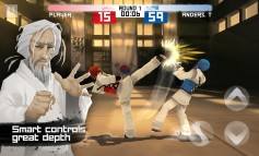 Taekwondo Game  gameplay screenshot