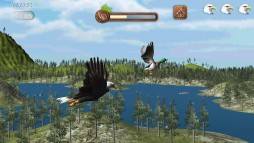 Eagle Play  gameplay screenshot