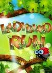 Ladybird Run  gameplay screenshot