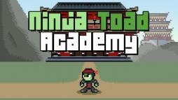 Ninja Toad Academy  gameplay screenshot