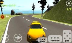 Rally Racer 3D  gameplay screenshot