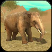 Wild Elephant Sim 3D dvd cover 