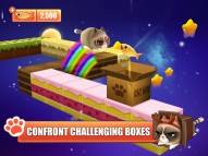 Kitty in the Box  gameplay screenshot