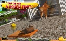 Crazy Cat vs. Mouse 3D  gameplay screenshot