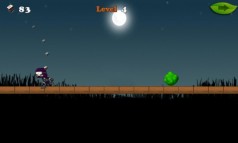 Ninja Man  gameplay screenshot